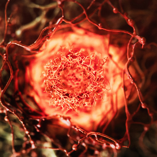 Popular Anti-Aging Supplement May Fuel Cancer Growth – Here's Why - ScienceAlert