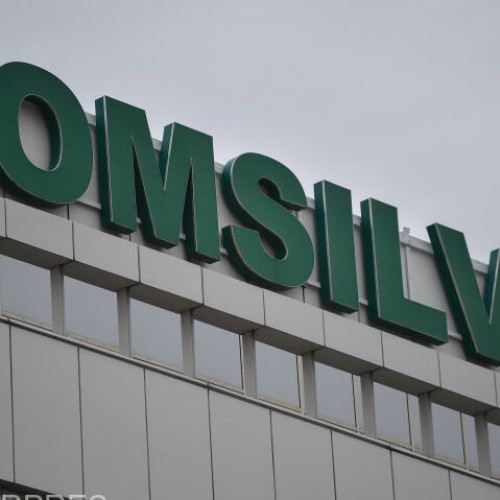 Romsilva se reorganizează prin formarea de noi structuri silvice regionale