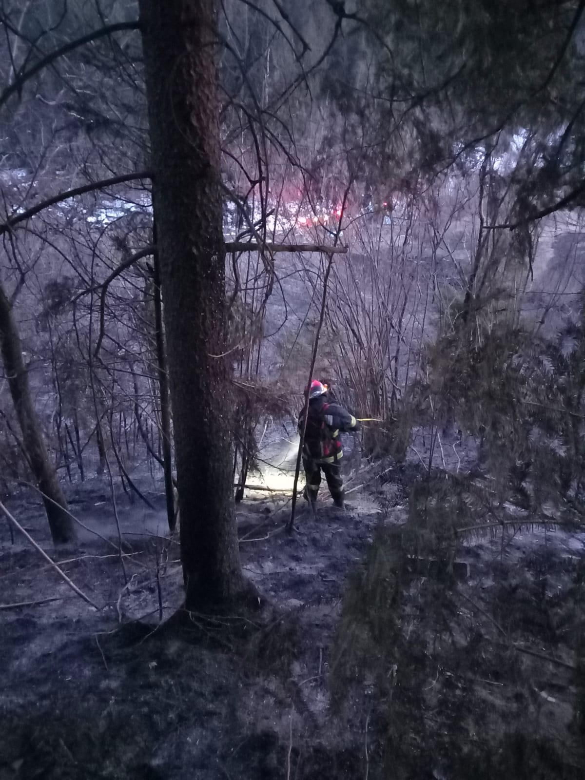 Pompierii din Neamț, mobilizați pentru a stinge cinci incendii de vegetație