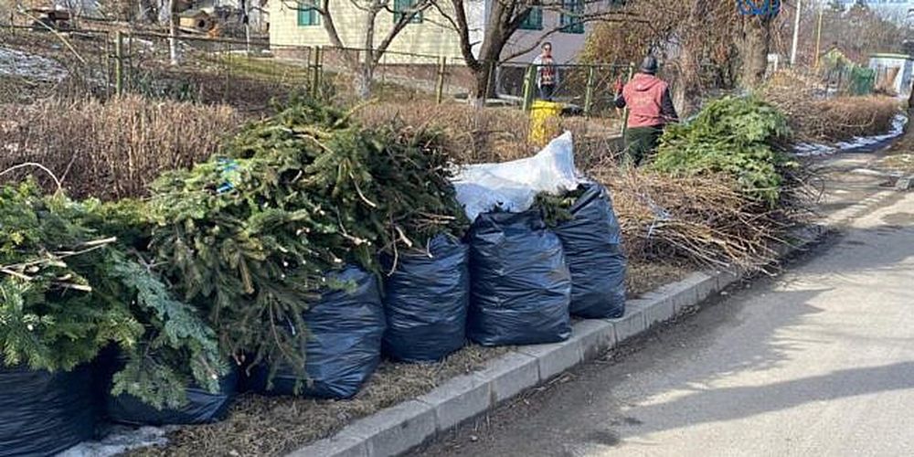 Primăvara aduce lucrări în gospodării și colectarea deșeurilor vegetale