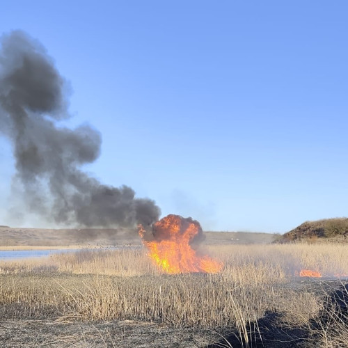 Incendii de vegetație în județul Botoșani: Pompierii intervin rapid