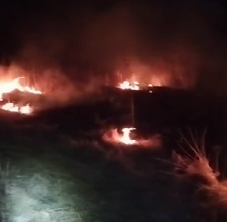 Incendiu devastator amenință o fermă de păsări în Botoșani