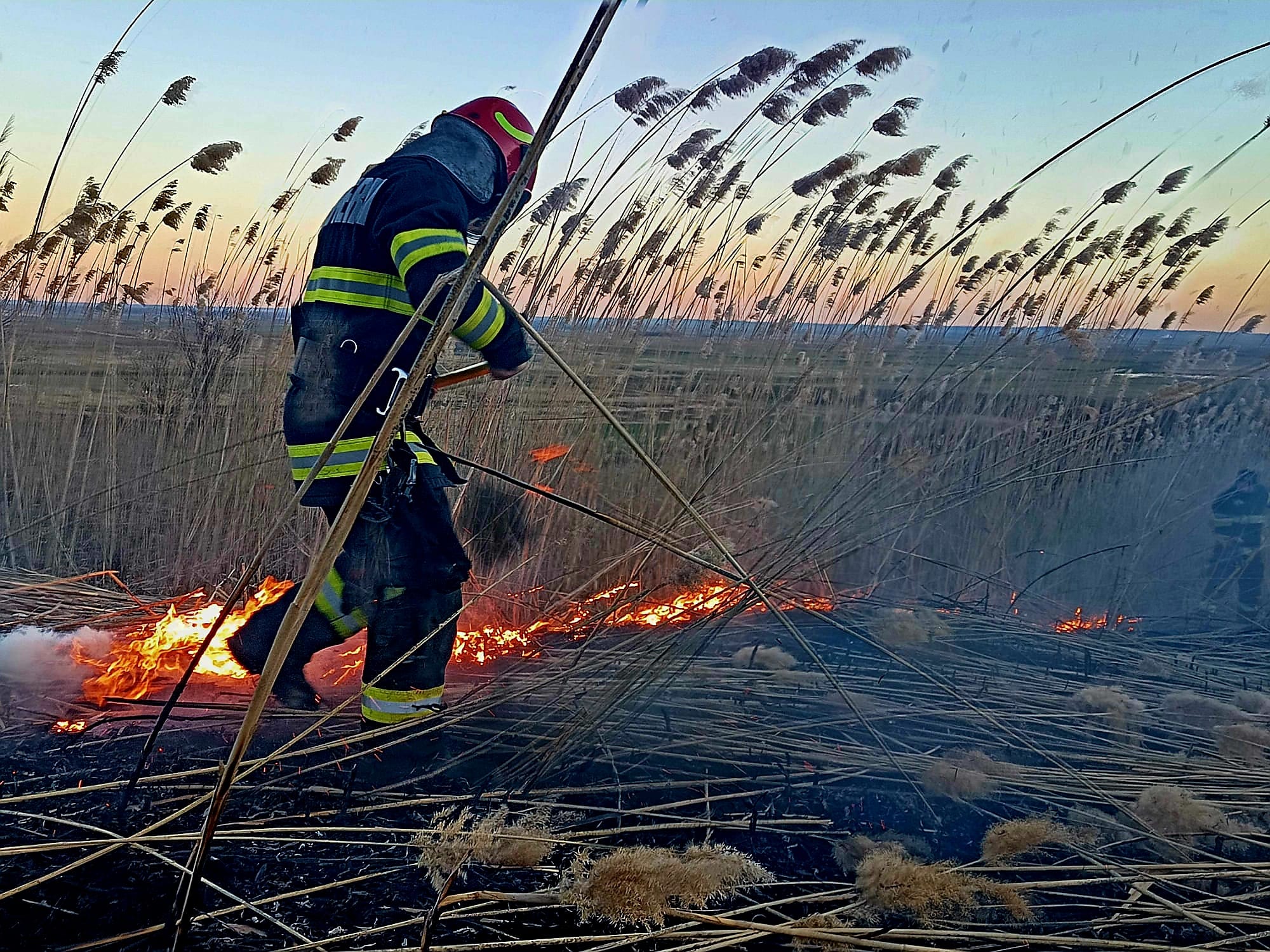 Incendiu devastator în Băneasa: pompierii luptă cu flăcările pe cinci hectare