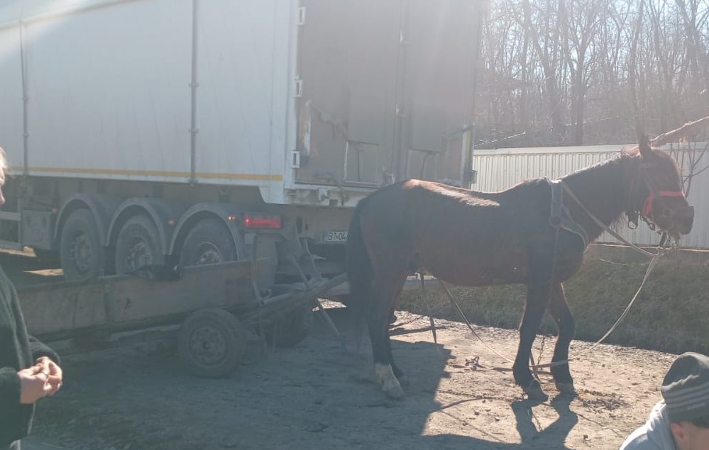 Accident între un camion și o căruță în Havârna, județul Botoșani