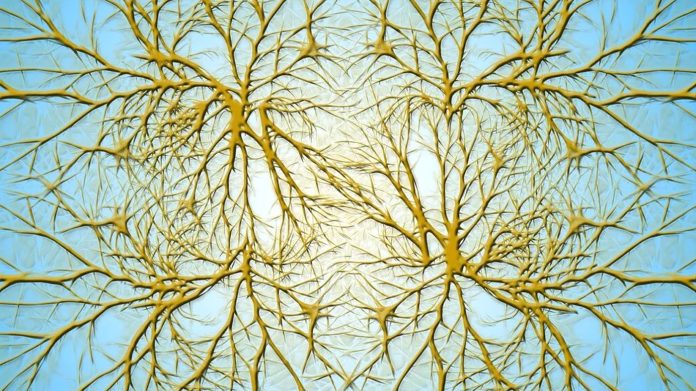 Activitățile cognitive reduc riscul de Alzheimer și îmbunătățesc gândirea