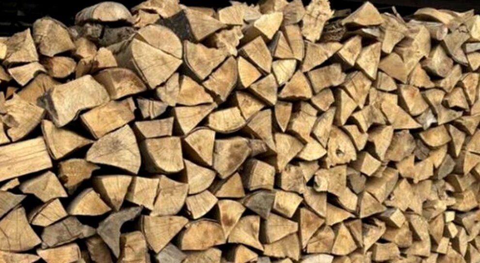 Un bărbat din Romuli reținut pentru falsificarea datelor în sistemul forestier