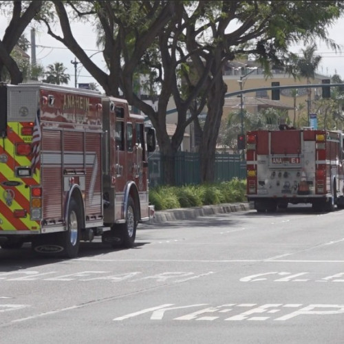 Incident de hazmat la Disneyland: 7 angajați transportați la spital