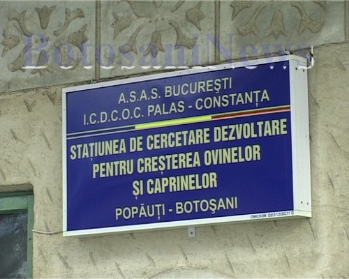 Stațiunea Popăuți angajează îngrijitori de animale și oferă cazare