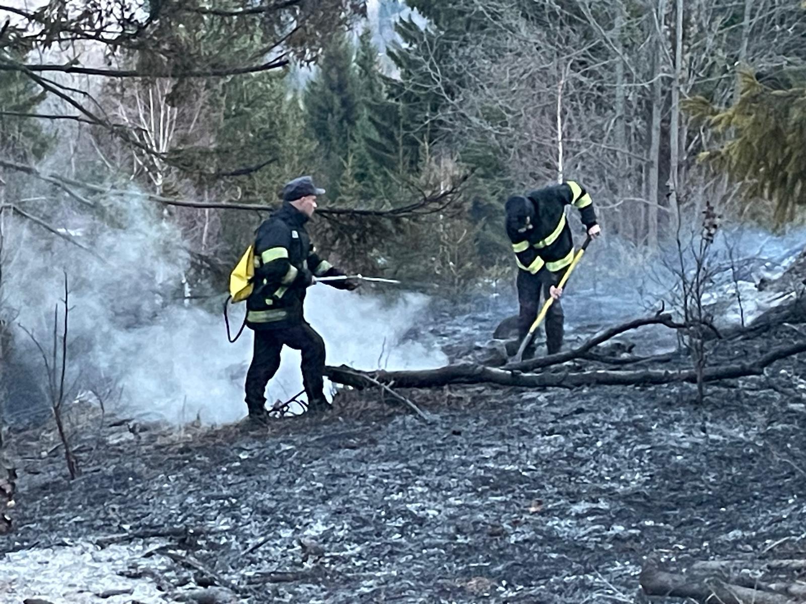 Pompierii din Neamț stins șapte incendii de vegetație uscată