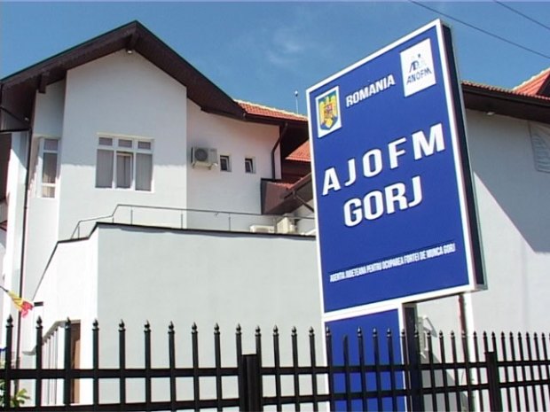 AJOFM Gorj lansează campania de informare pentru prevenirea adicțiilor