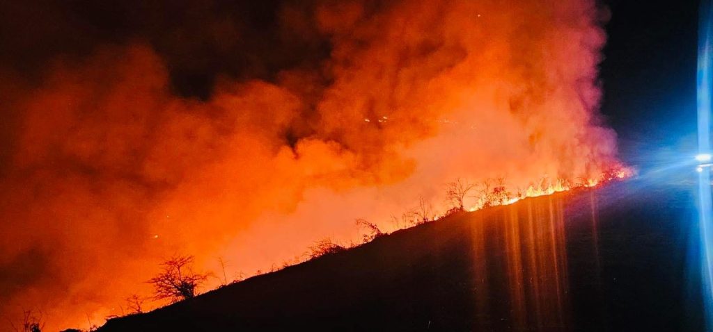 Incendiu de vegetație devastator în comuna Runcu