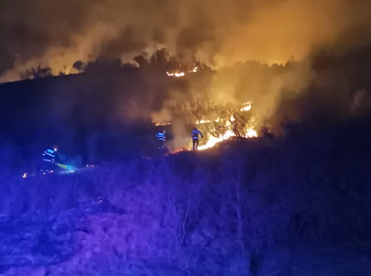 Incendiu de vegetație devastator la Rădaia, mobilizat echipaje de pompieri