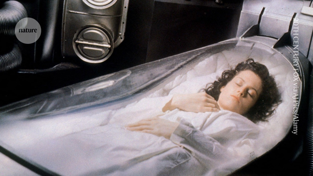 Studiu: Activitatea creierelor de șoareci congelate a fost revigorată pentru prima dată