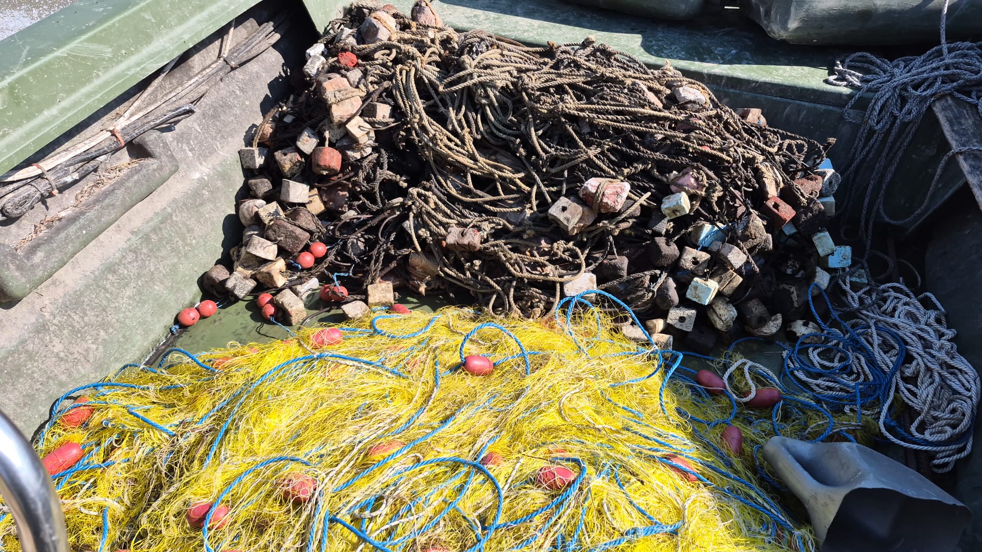 Descoperire uluitoare în Delta Dunării: 500 de carmace confiscate