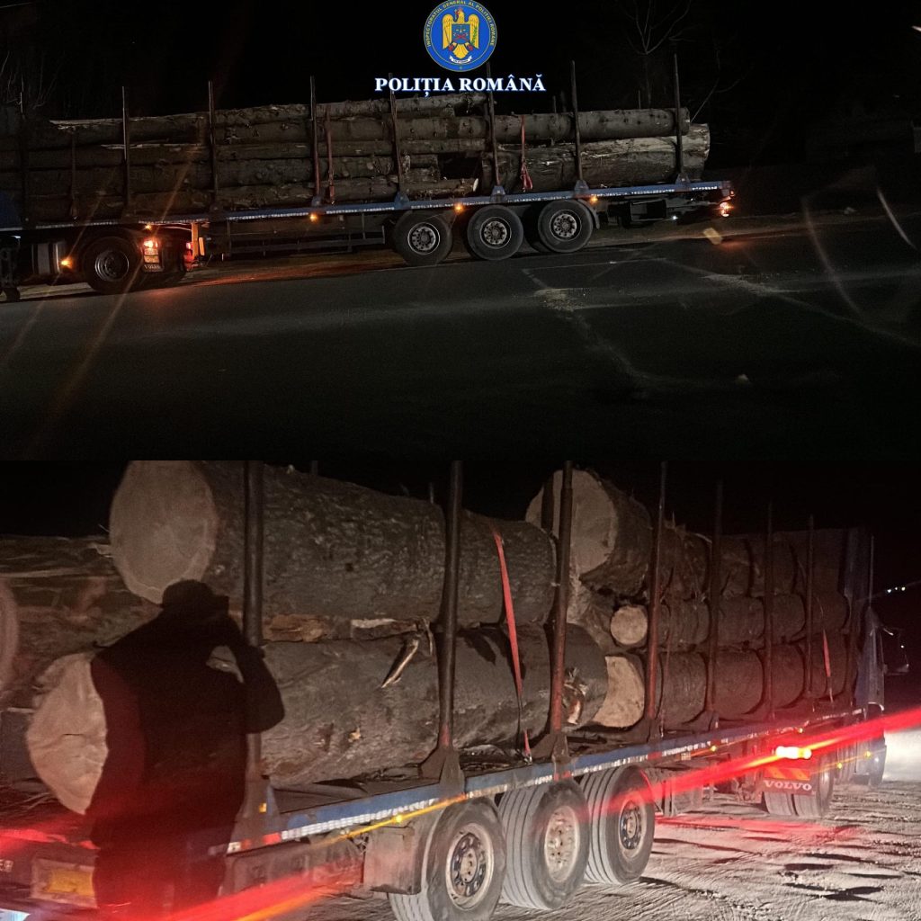 Bărbat din Bolboși, cercetat penal pentru transport ilegal de material lemnos