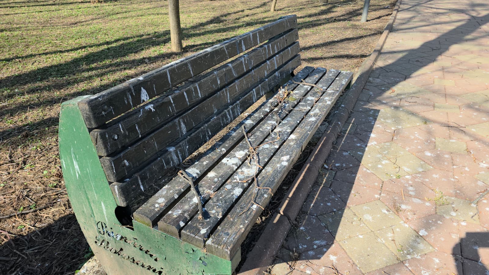 Botoșaniul se confruntă cu lipsa băncilor curate în spațiile verzi