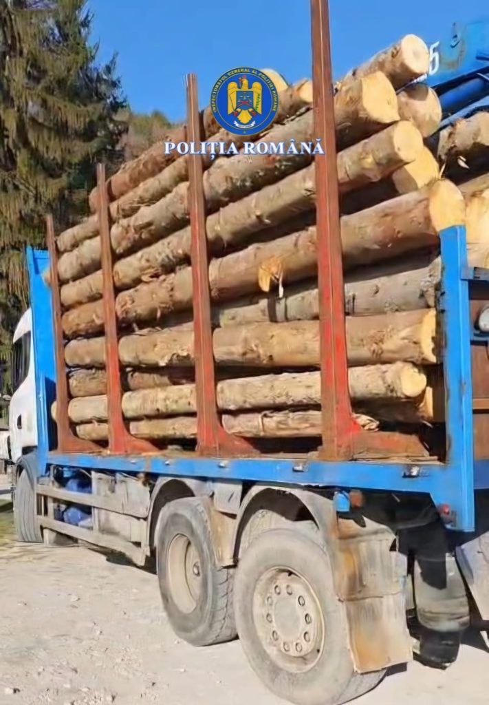 Polițiștii din Novaci prind un șofer cu lemn fără acte