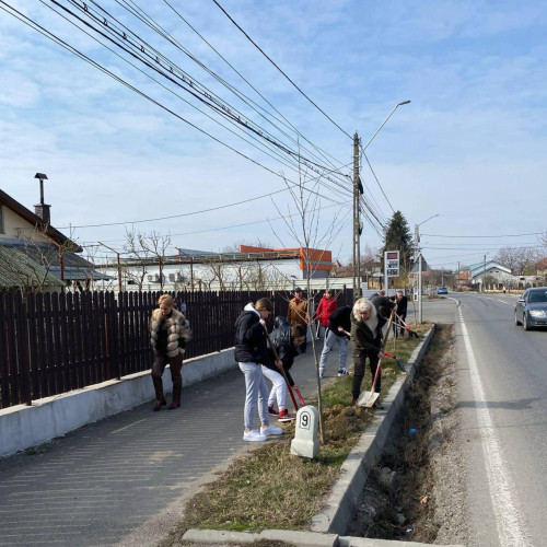 Găeștenii au plantat 250 de copaci, într-o acțiune de primăvară organizată de administr