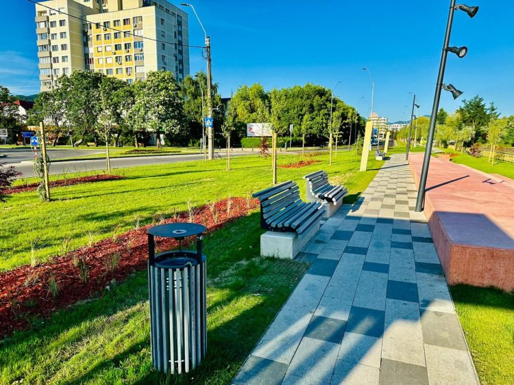 Eveniment dedicat Zilei Mondiale a Asistenței Sociale în Baia Mare