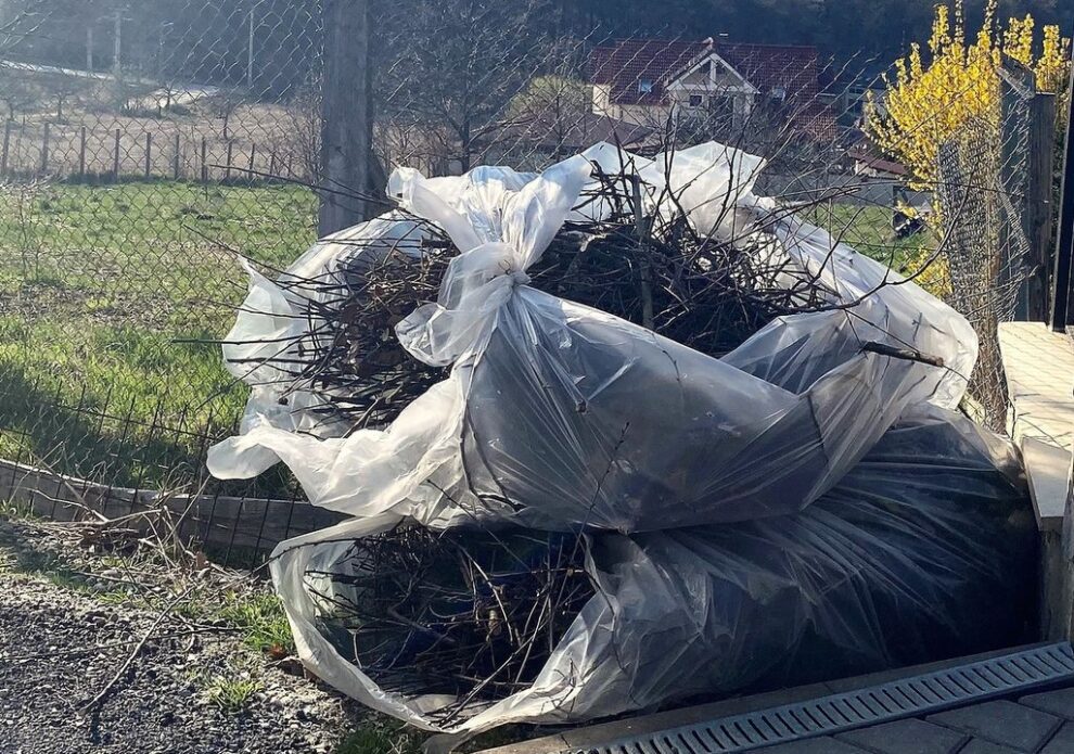 Colectarea deșeurilor vegetale în Bistrița și împrejurimi, program pe martie 2026