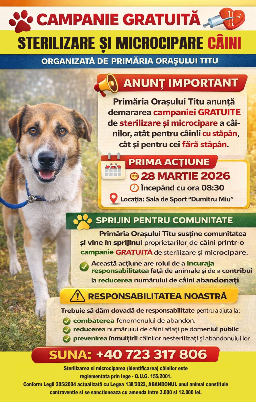 Titu lansează campanie gratuită de sterilizare și microcipare a câinilor