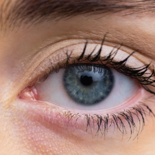 Cercetători din Spania creează cornee artificială din solzi de pește