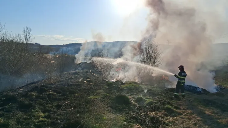 Incendii de vegetație în județul Cluj, pompierii intervin intens