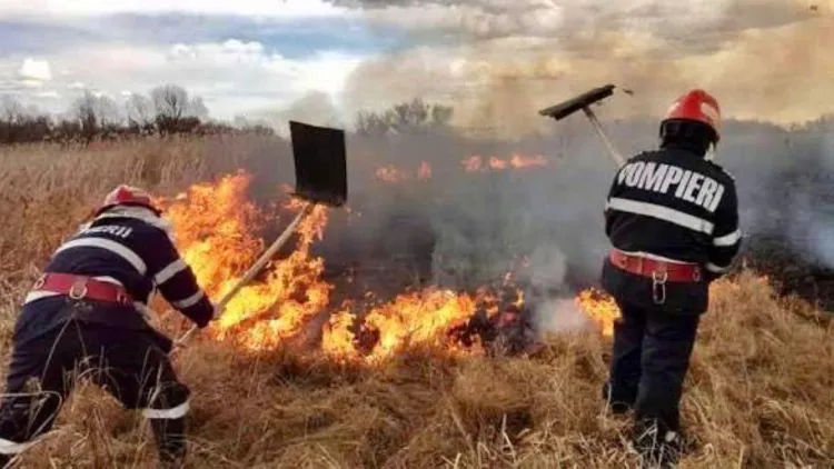 Atenționare pentru fermieri: Arderea vegetației poate avea consecințe grave