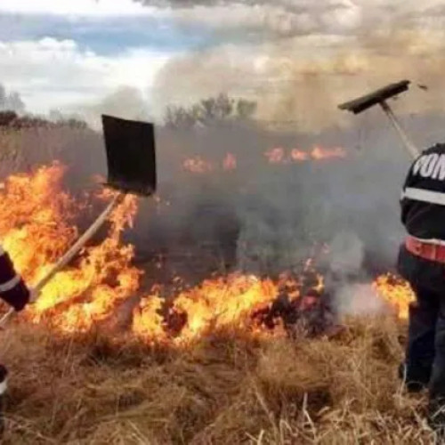 Atenționare pentru fermieri: Arderea vegetației poate avea consecințe grave