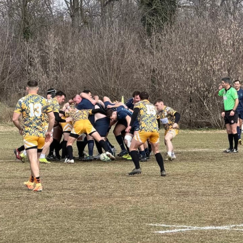 Începe ediția 2026 a Diviziei Naționale de Seniori în rugby