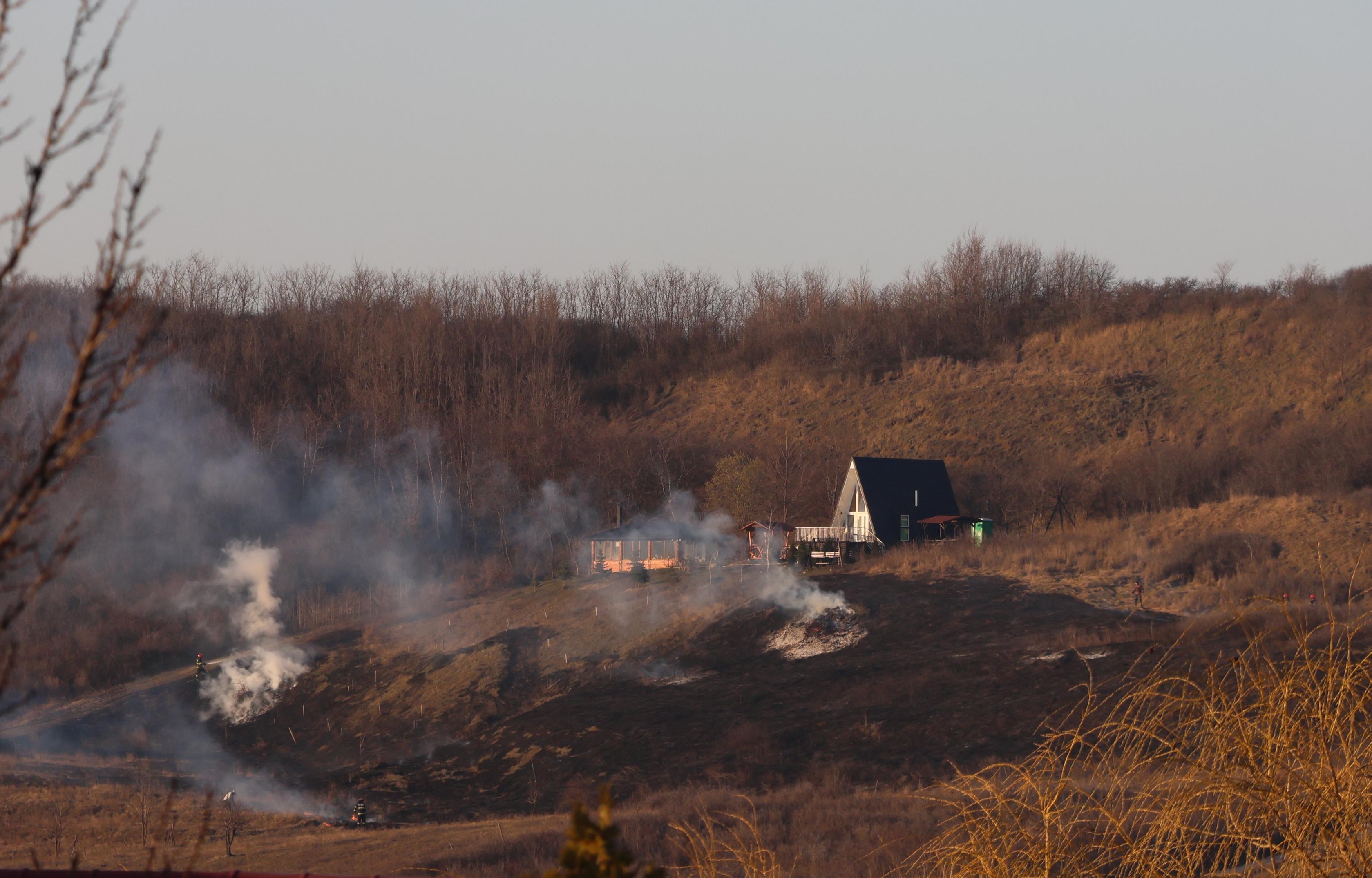 Incendiu de vegetație în Agafton, comuna Curtești