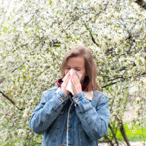 Alergiile de primăvară afectează mulți români: Ce este de făcut?