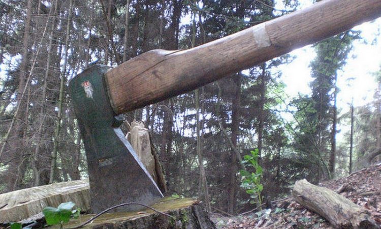 Detalii despre un jaf forestier în Parcul Natural Munții Maramureșului