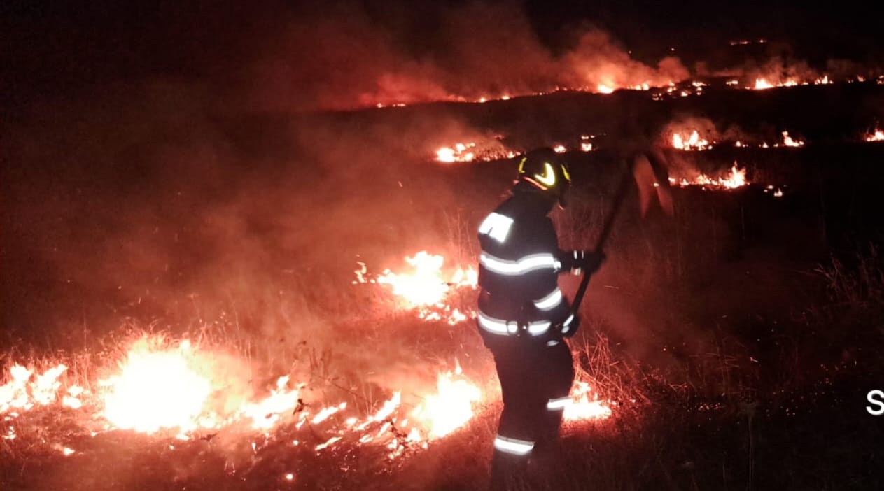 Incendii devastatoare în județul Botoșani: peste 20 de hectare afectate