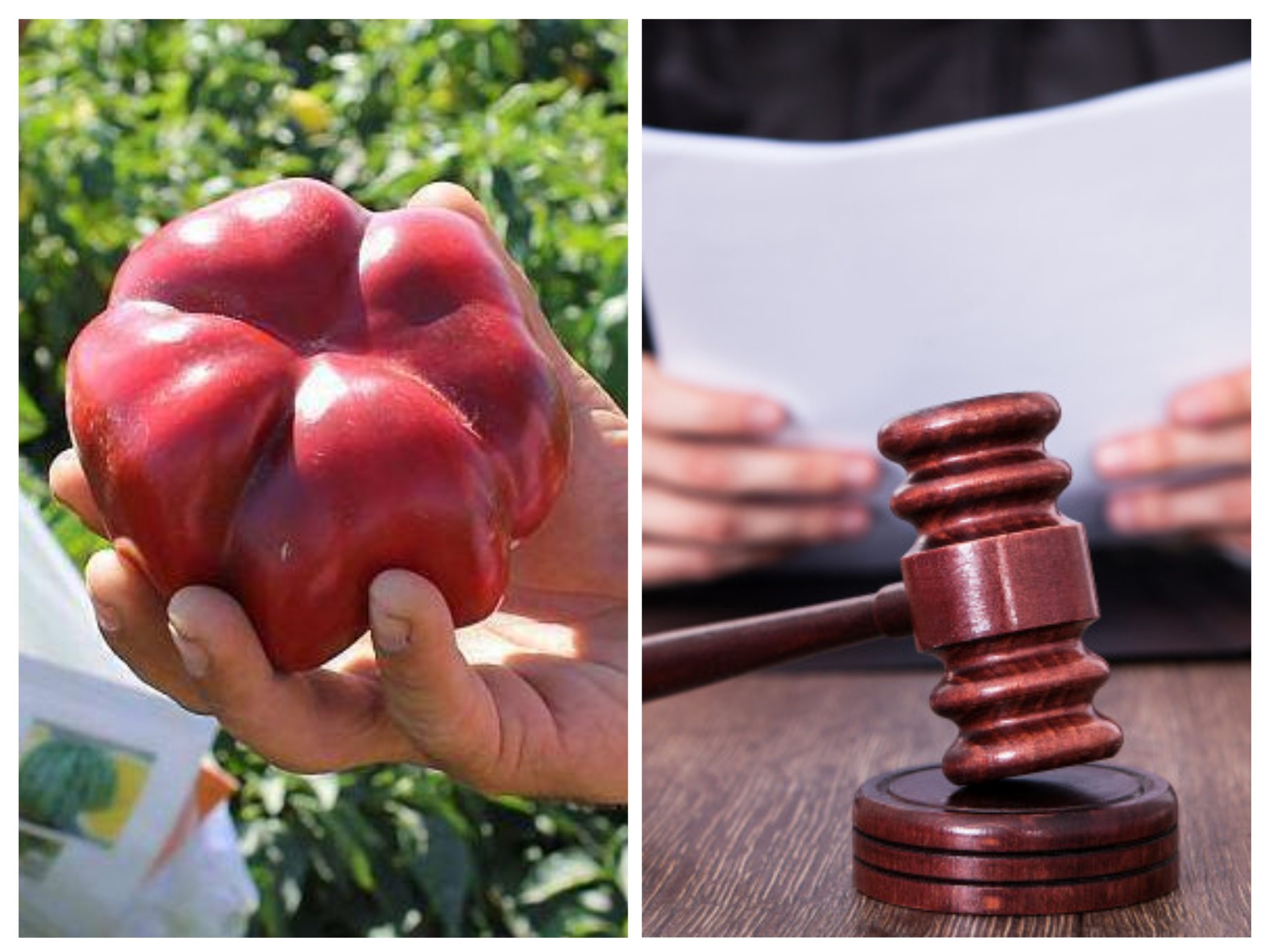 Incident banal în Motru, un furt neumblat în instanță din lipsă de prejudiciu