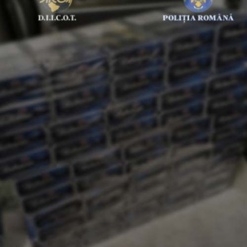 Percheziții în Harghita, Covasna și Brașov, vizând un grup infracțional organizat