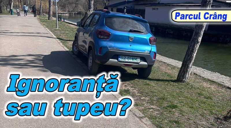 Șofer prins parcând pe spațiul verde din Buzău