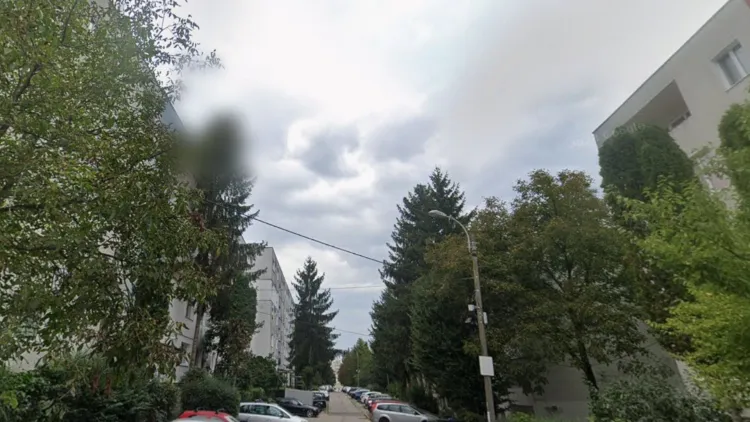 Locuitorii Aleei Negoiu din Cluj-Napoca cer repararea drumului