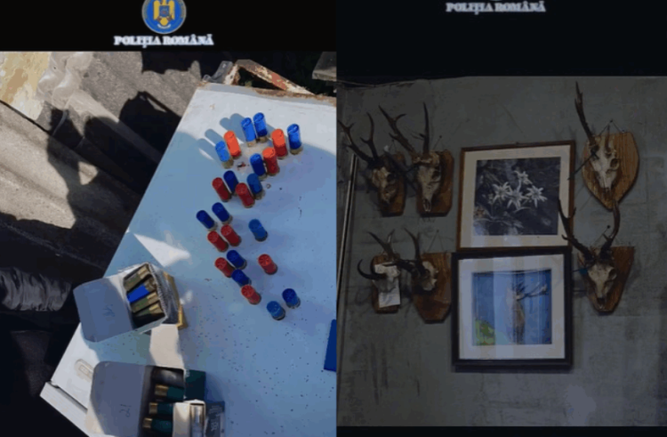 Percheziții în Maramureș pentru infracțiuni legate de arme și braconaj