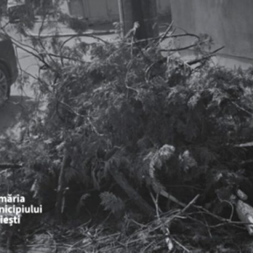 Arderea deșeurilor vegetale, interzisă în Ploiești pentru sănătatea comunității