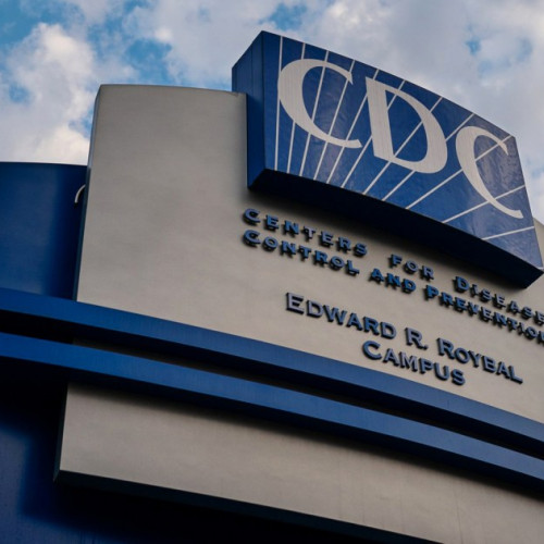 153 de persoane infectate cu norovirus pe nava de croazieră Star Princess