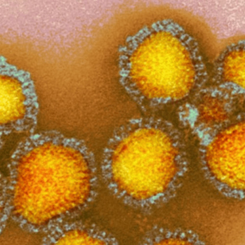 Informații infecțioase 14/03/2026 - Daily Kos