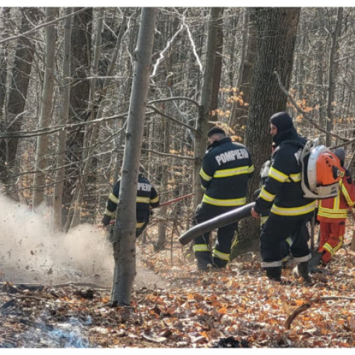 Pompierii reiau acțiunile de recunoaștere în zone afectate de incendii