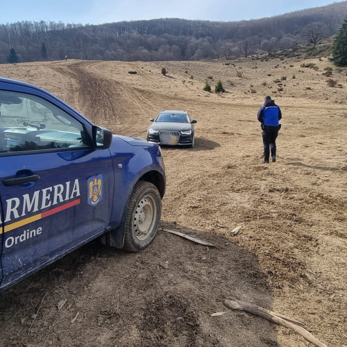 Jandarmii din Brașov sancționează abaterile și oferă ajutor cetățenilor