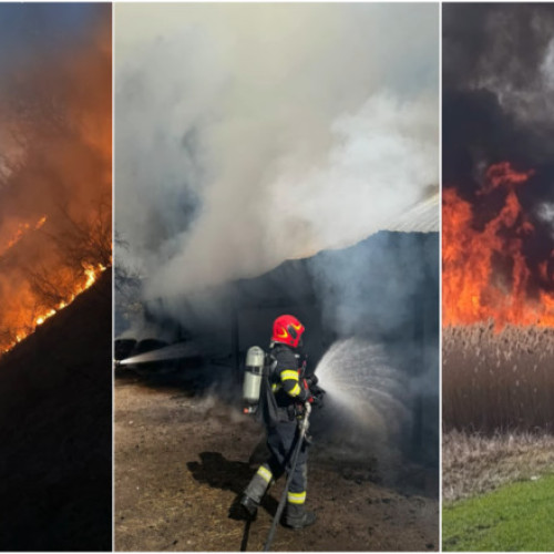 Bărbat găsit carbonizat în urma incendiilor devastatoare din Bihor