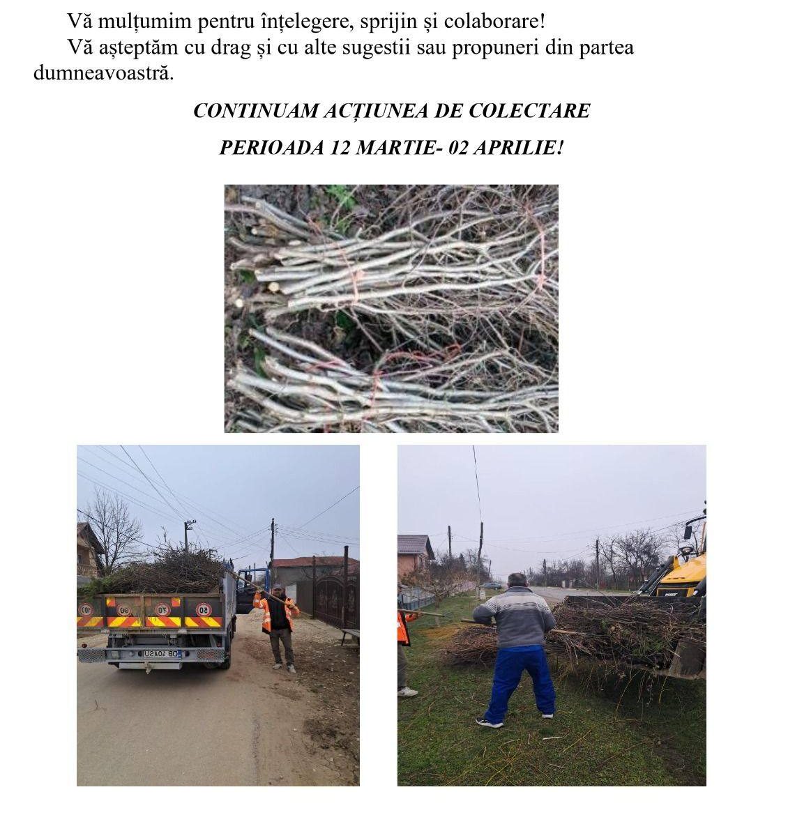 Colectarea deșeurilor vegetale în Petrești se face gratuit până pe 2 aprilie