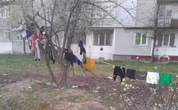 Locatarii din Baia Mare își usucă hainele între copaci, Poliția Locală investighează