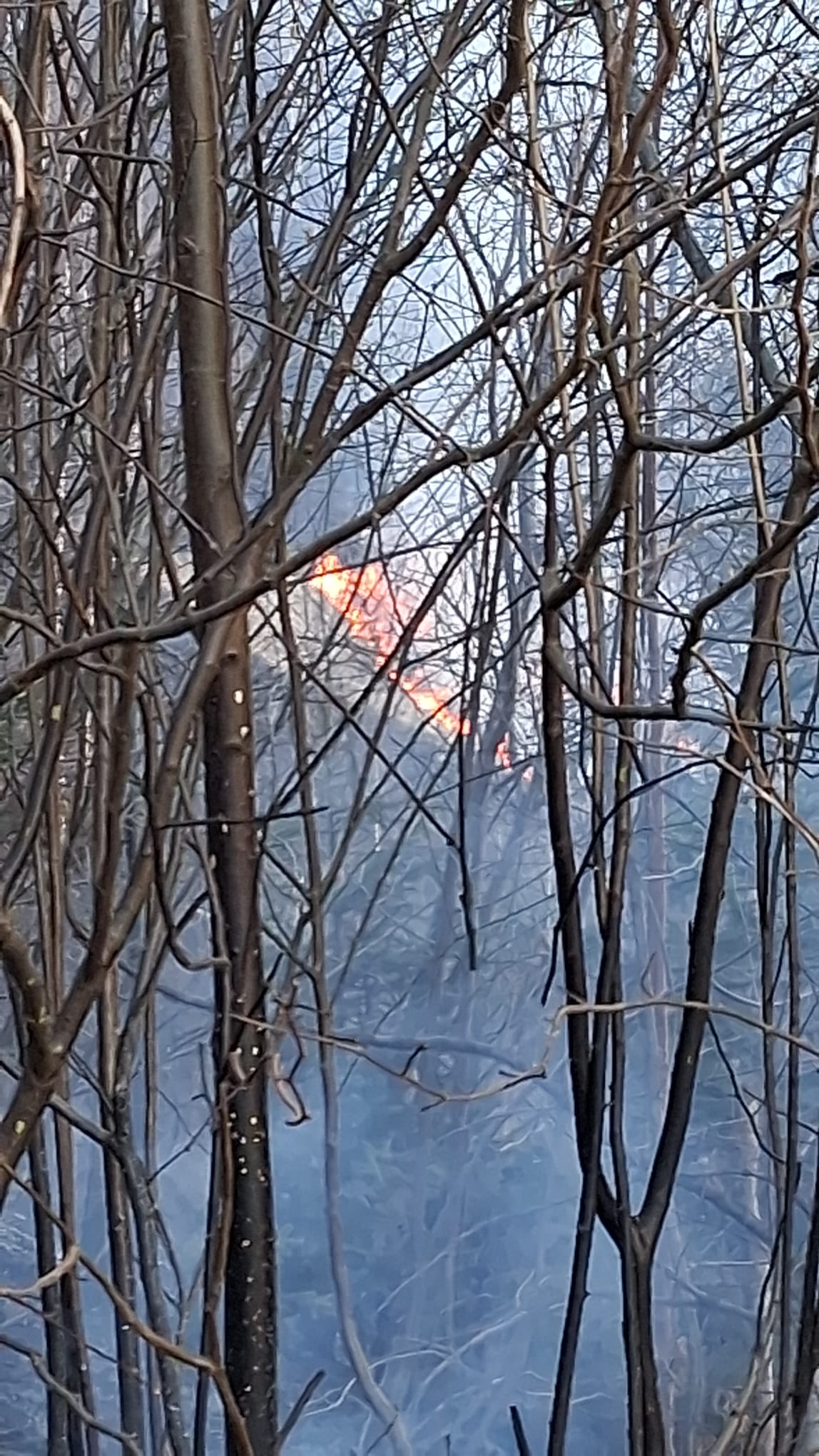 Incendii de vegetație uscată în weekend, cel mai grav în Borca