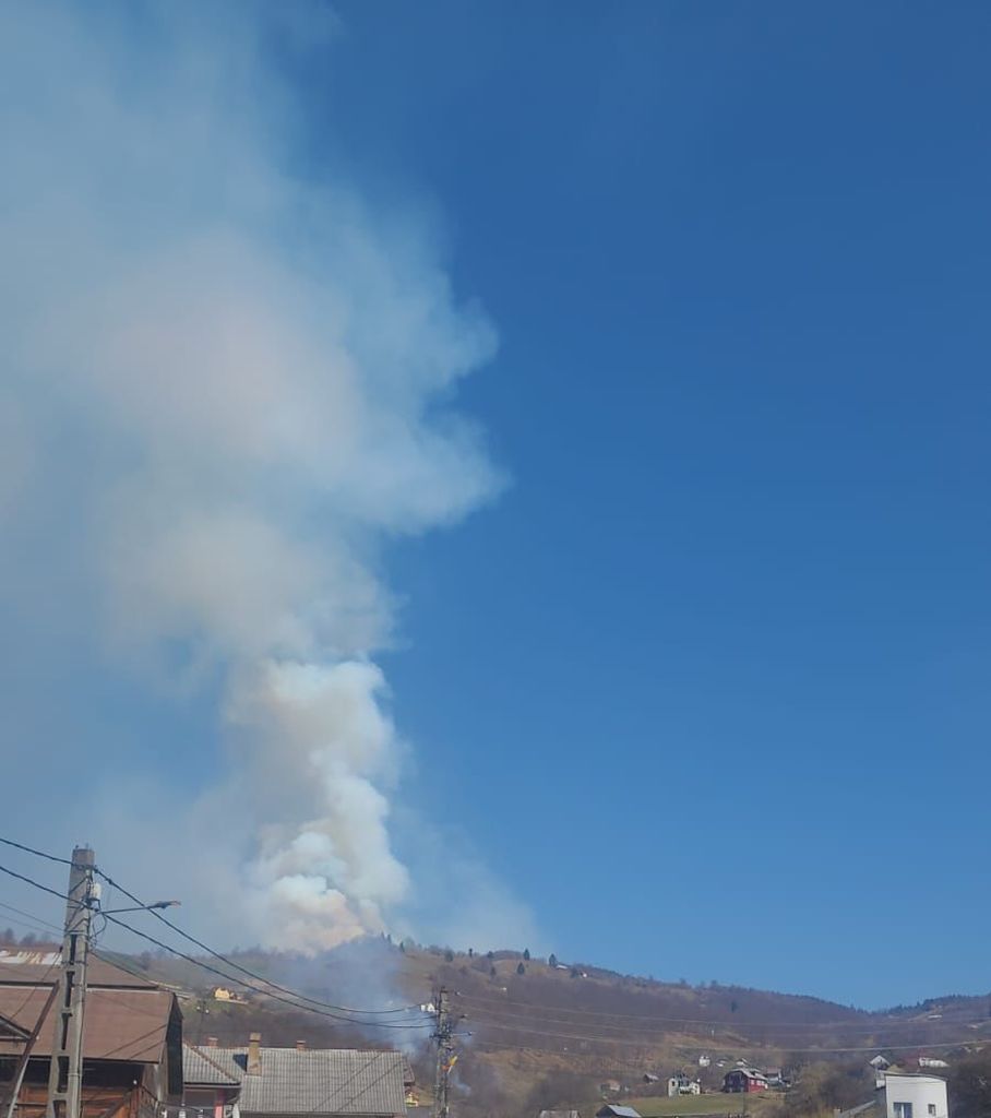 Incendiu de vegetație în pădurea de fag din Bistrița-Năsăud