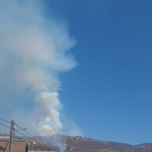 Incendiu de vegetație în pădurea de fag din Bistrița-Năsăud